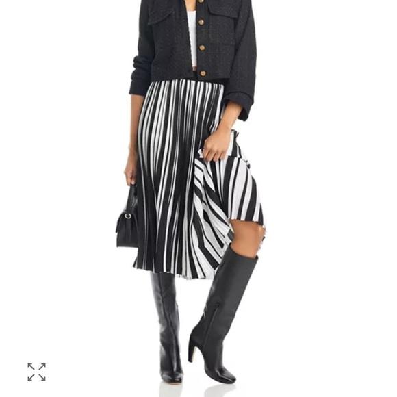 Karl Lagerfeld Dresses & Skirts - Karl Lagerfeld PARIS Black and White striped pleated Skirt EUC